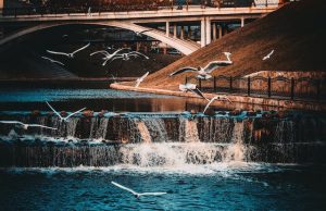 Strong Atmospheric River Drenches